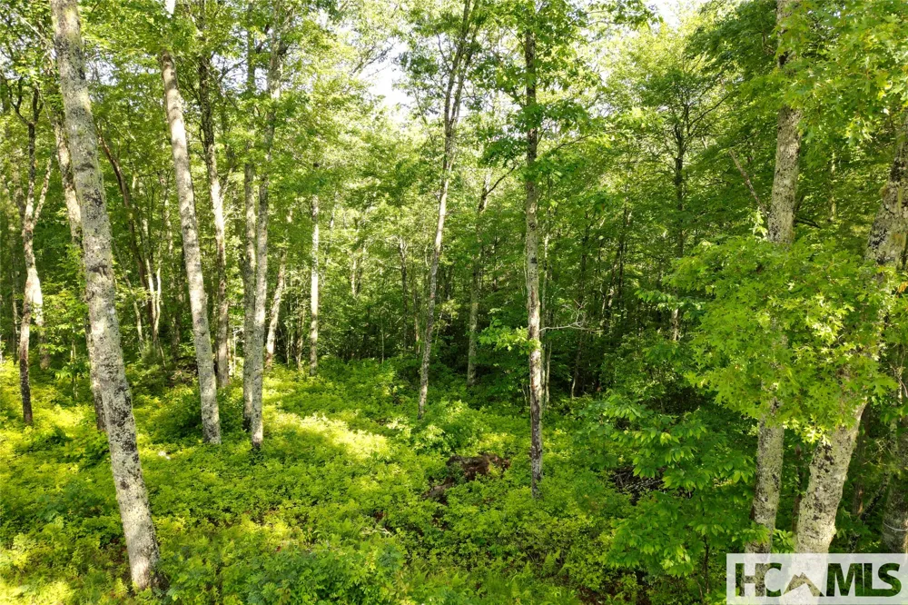 Lot C7 Snowcrest Drive Glenville, NC 28736