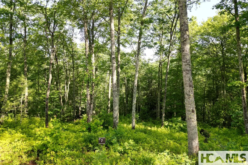 Lot C7 Snowcrest Drive Glenville, NC 28736