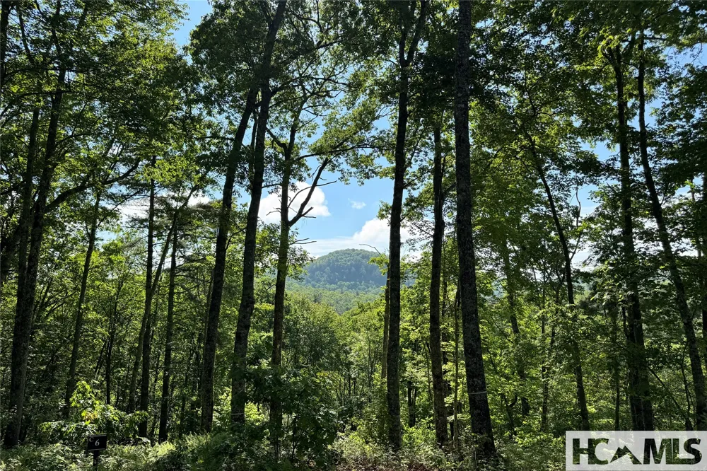 Lot C7 Snowcrest Drive Glenville, NC 28736