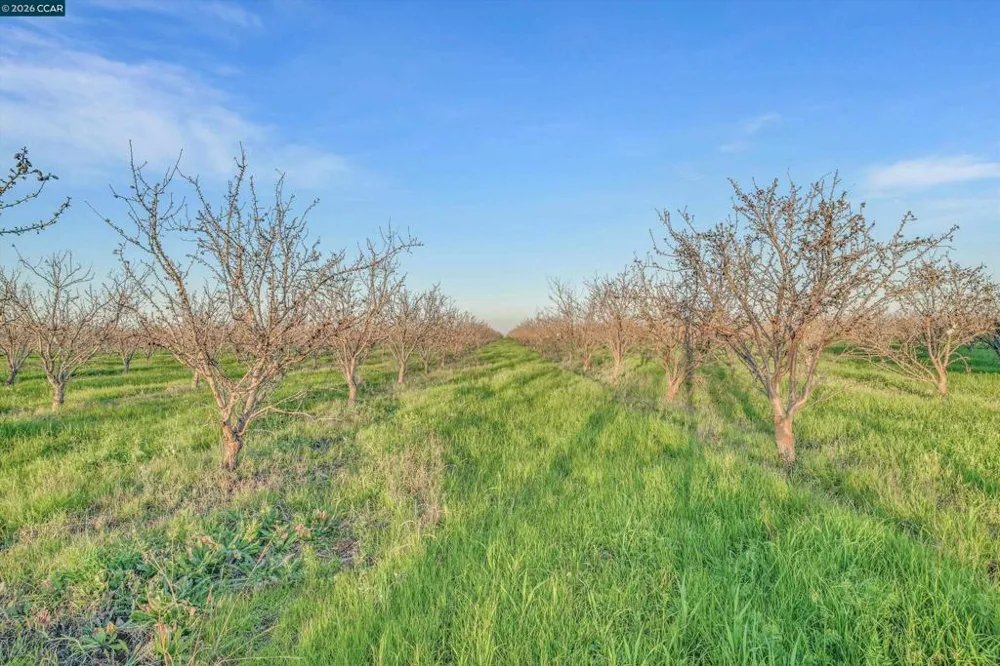 7760 Byron Hwy Byron, CA 94514