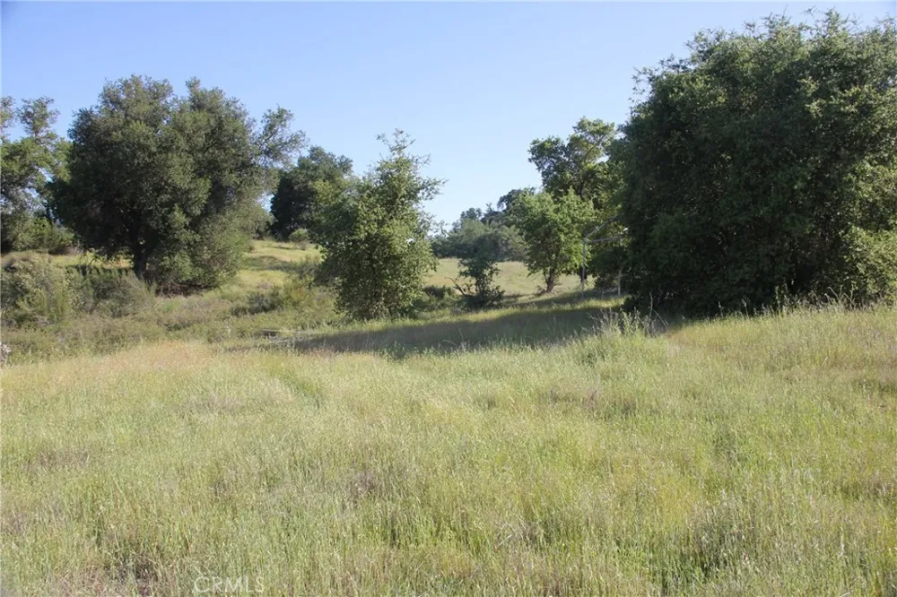 74650 Interlake Bradley, CA 93426