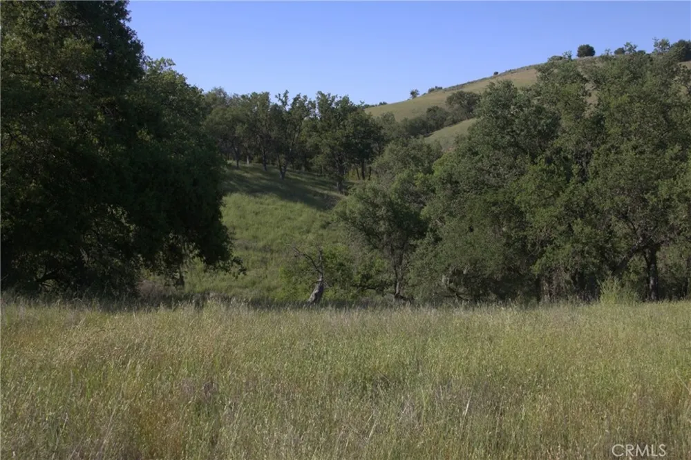 74650 Interlake Bradley, CA 93426
