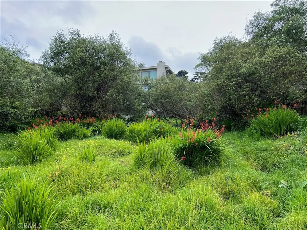 Madison Street Cambria, CA 93428
