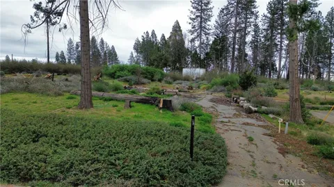 13914 Cluster Court