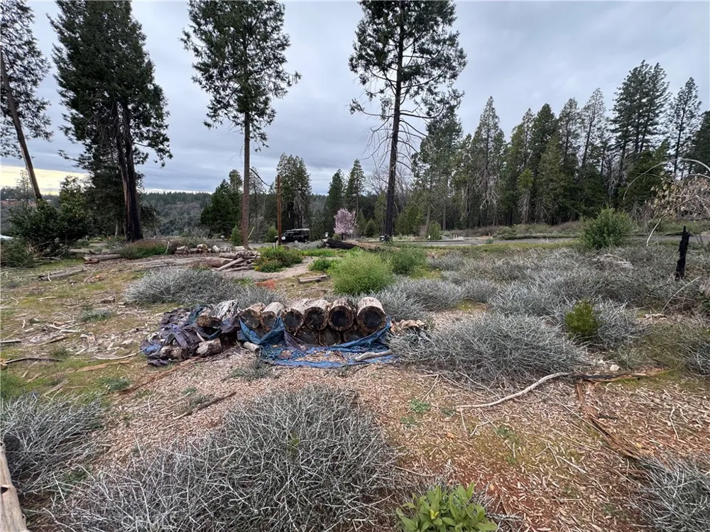 13914 Cluster Court Magalia, CA 95954
