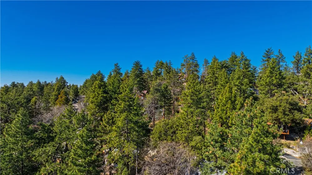 1 Mountain View Drive Idyllwild, CA 92549