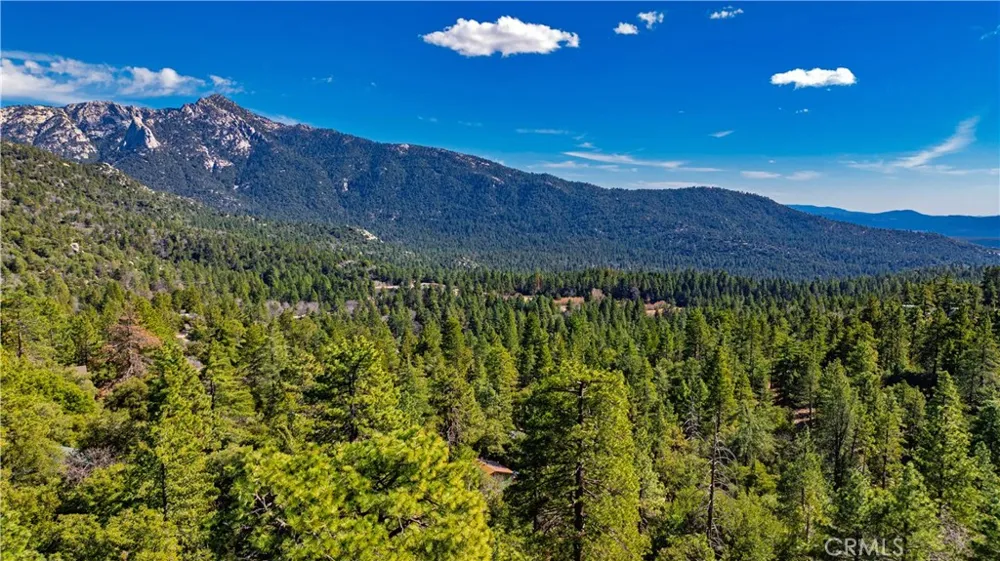 1 Mountain View Drive Idyllwild, CA 92549