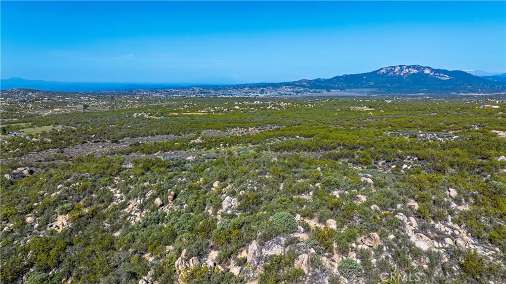 1 Mountain View Drive Idyllwild, CA 92549