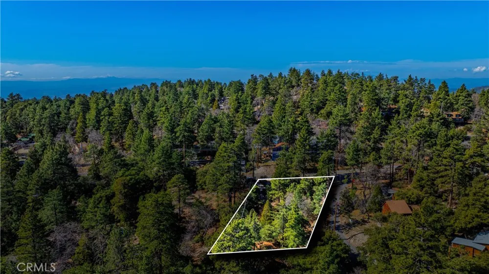 1 Mountain View Drive Idyllwild, CA 92549