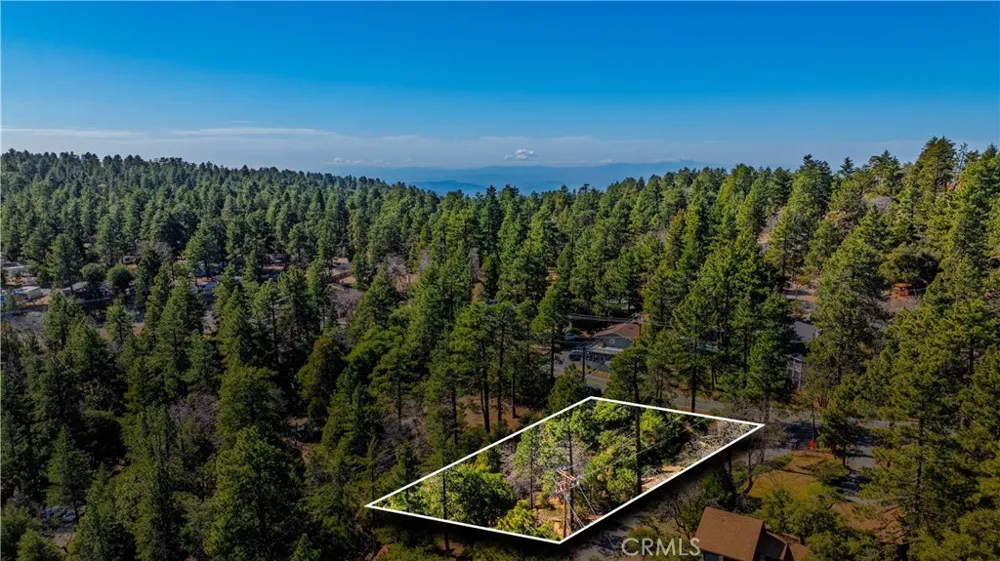 1 Mountain View Drive Idyllwild, CA 92549
