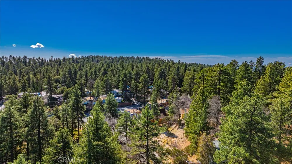 1 Mountain View Drive Idyllwild, CA 92549