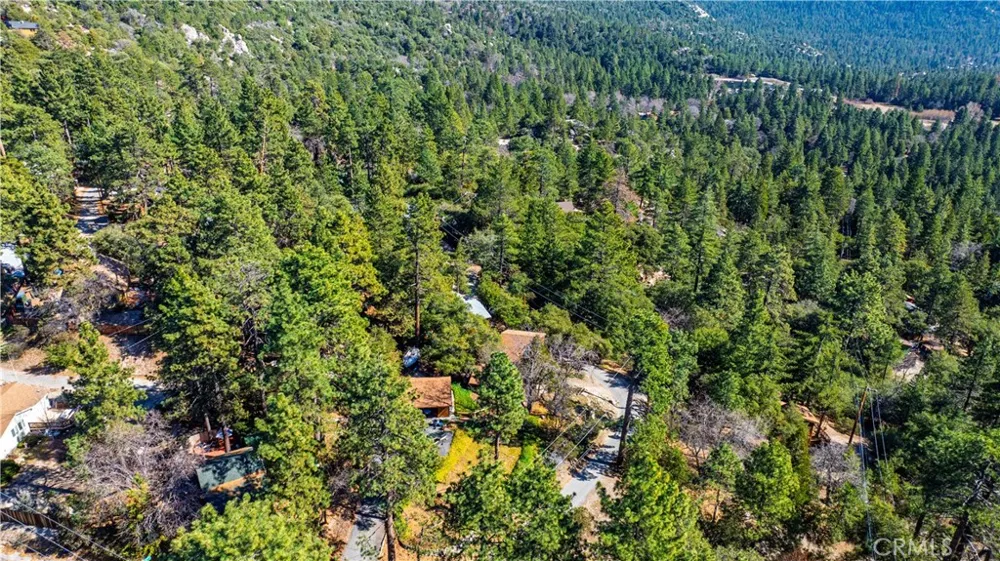 1 Mountain View Drive Idyllwild, CA 92549