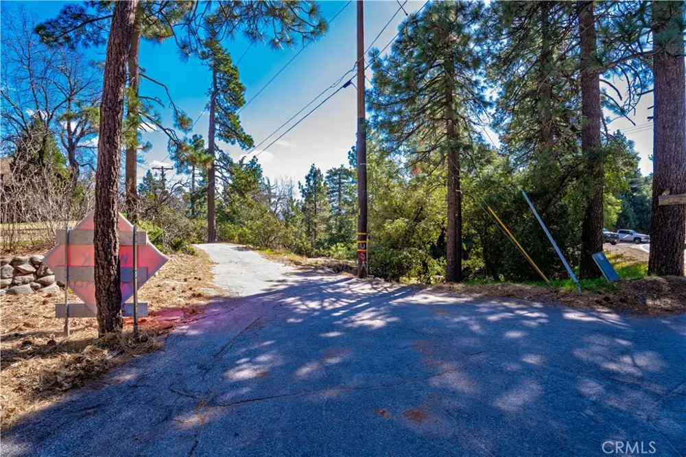 1 Mountain View Drive Idyllwild, CA 92549