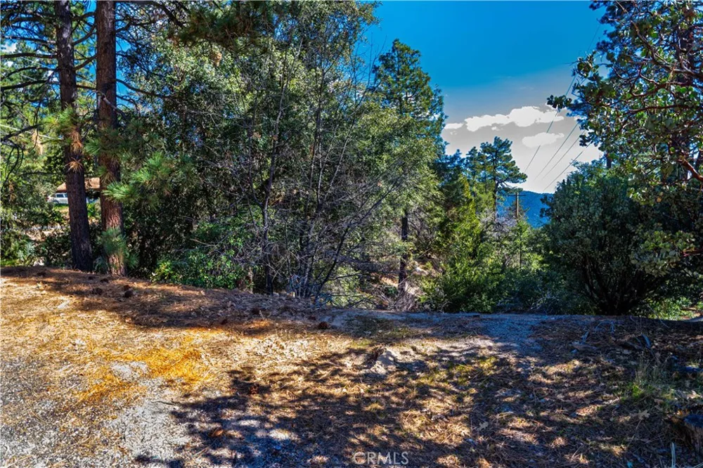 1 Mountain View Drive Idyllwild, CA 92549