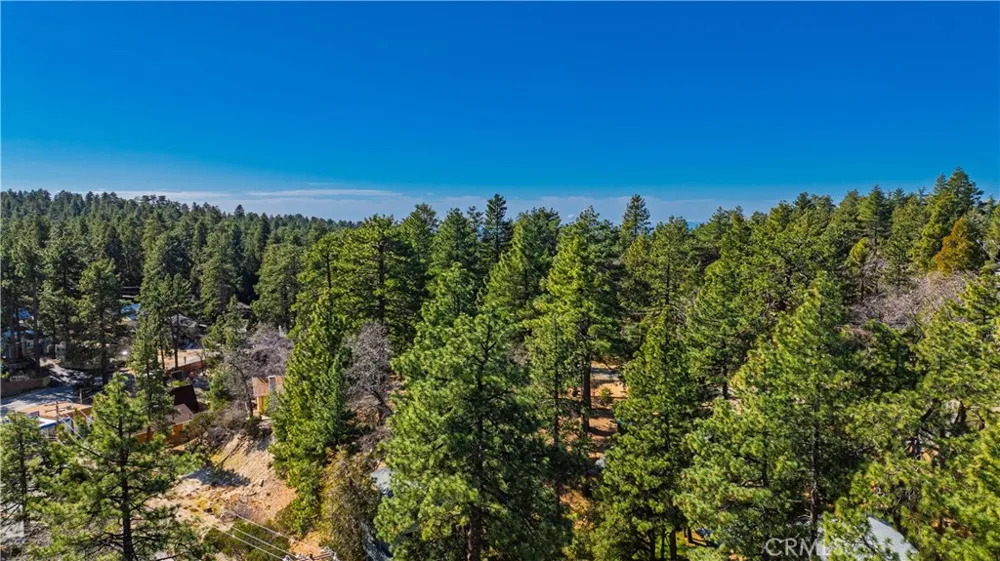 1 Mountain View Drive Idyllwild, CA 92549