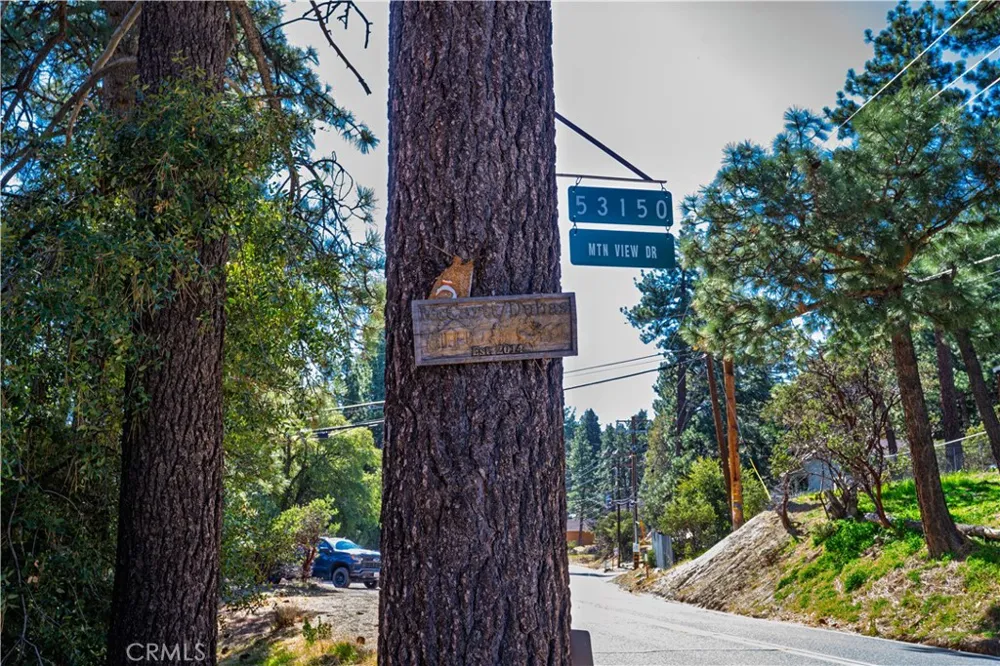 1 Mountain View Drive Idyllwild, CA 92549