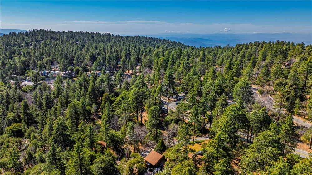 1 Mountain View Drive Idyllwild, CA 92549