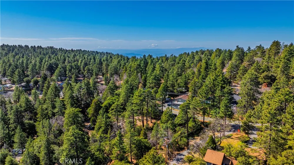 1 Mountain View Drive Idyllwild, CA 92549