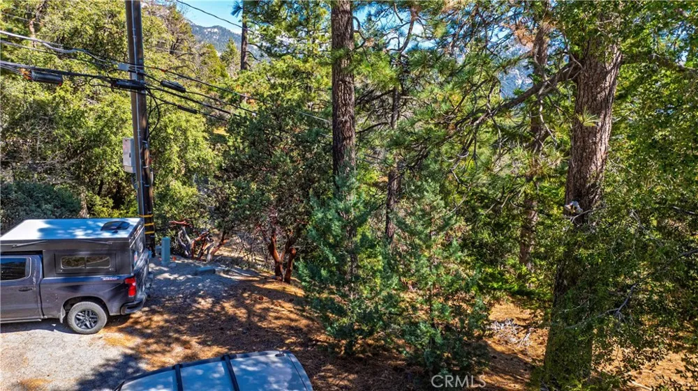 1 Mountain View Drive Idyllwild, CA 92549