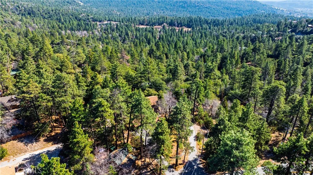 1 Mountain View Drive Idyllwild, CA 92549