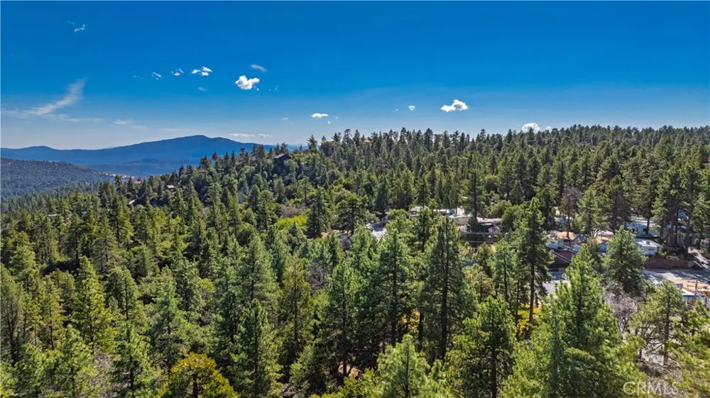 1 Mountain View Drive Idyllwild, CA 92549