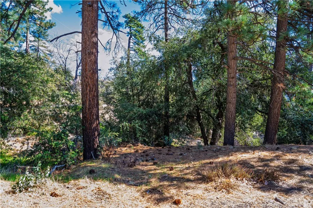 1 Mountain View Drive Idyllwild, CA 92549