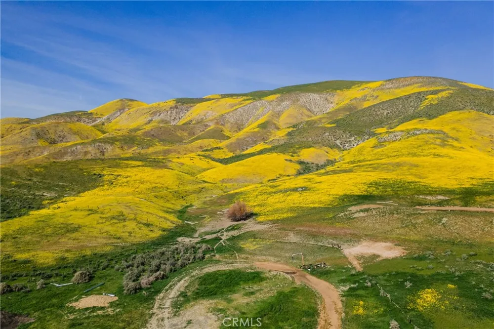Bellflower Road Santa Margarita, CA 93453