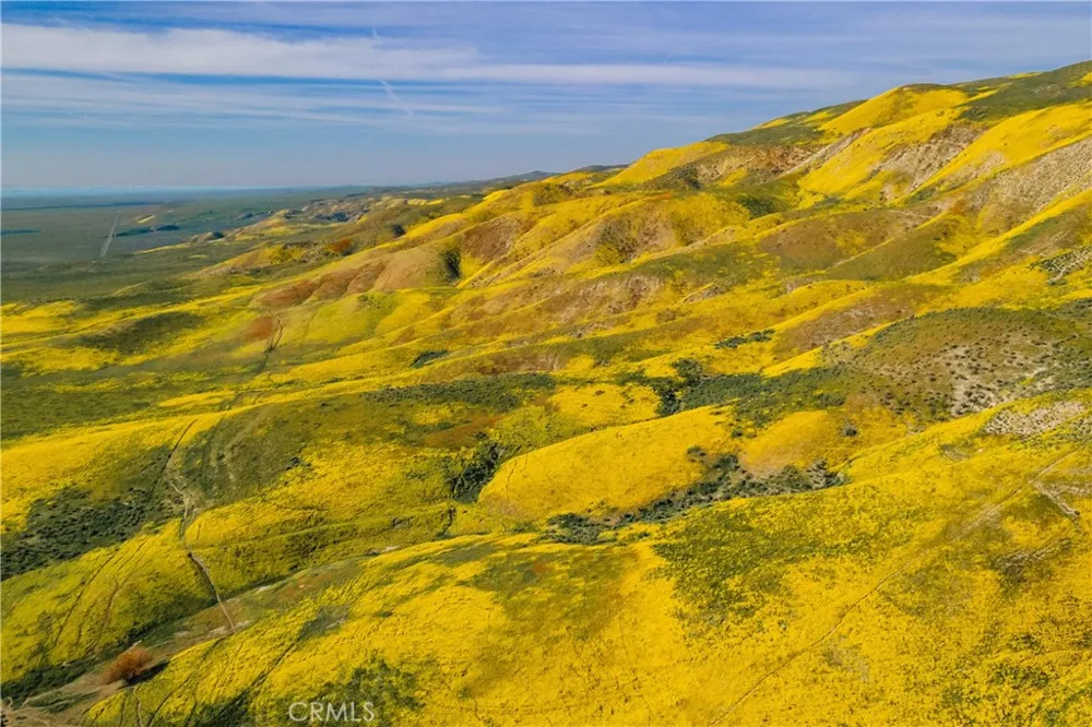 Bellflower Road Santa Margarita, CA 93453