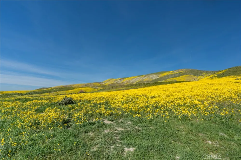 Bellflower Road Santa Margarita, CA 93453