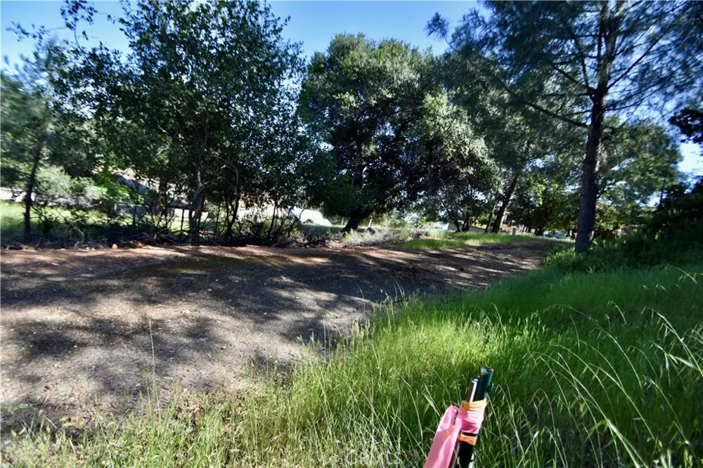 6216 Jack Hill Oroville, CA 95966