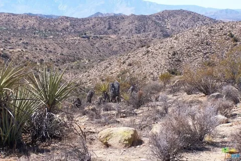 Chaparrosa Road