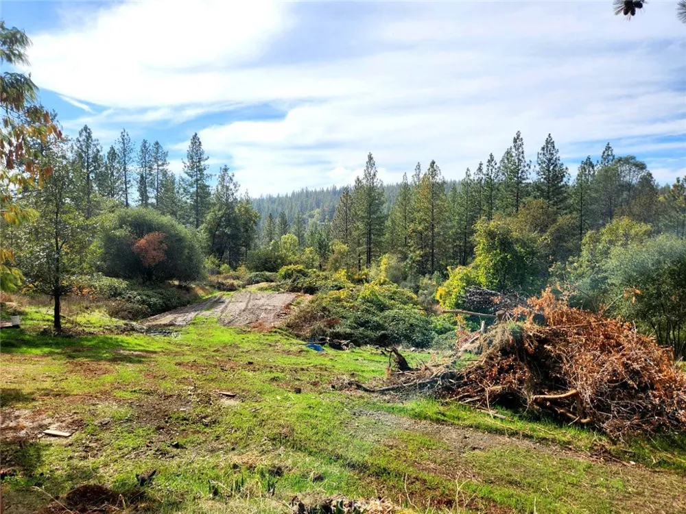 9366 Ranger Trail Oregon House, CA 95962