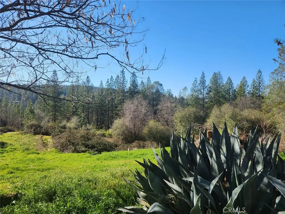 9366 Ranger Trail Oregon House, CA 95962