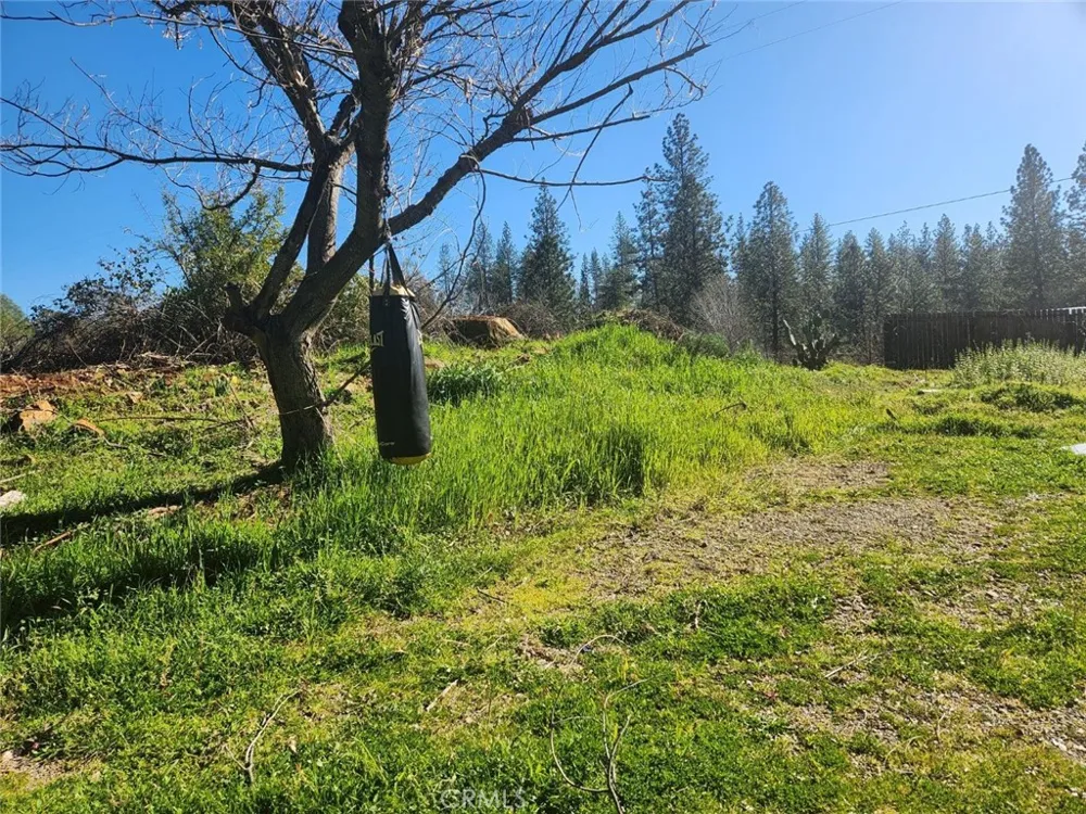9366 Ranger Trail Oregon House, CA 95962
