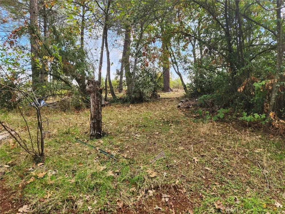 9366 Ranger Trail Oregon House, CA 95962