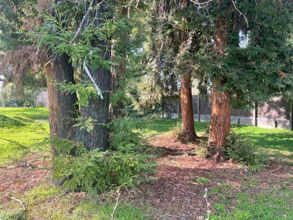 28538 Huntwood Avenue Hayward, CA 94544