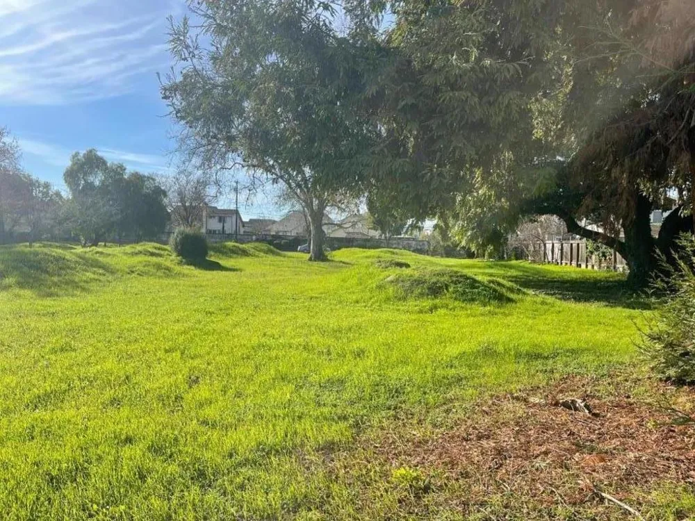 28538 Huntwood Avenue Hayward, CA 94544