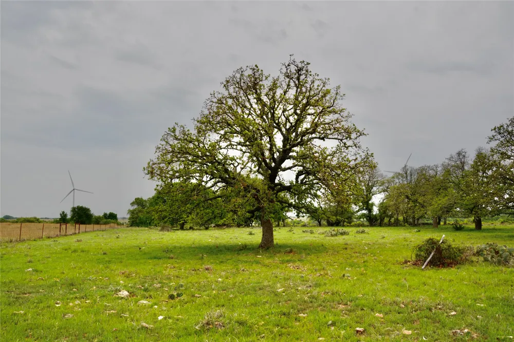 621 E FM 572 Goldthwaite, TX 76844