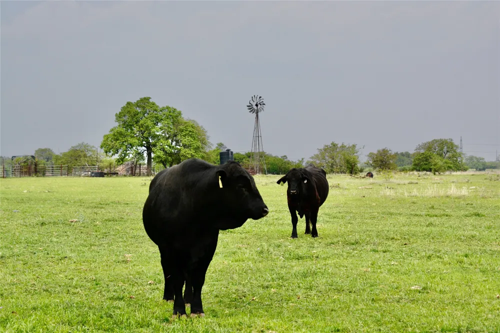 621 E FM 572 Goldthwaite, TX 76844