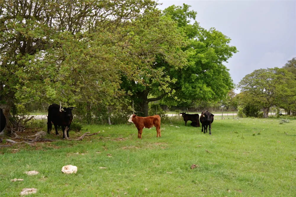 621 E FM 572 Goldthwaite, TX 76844