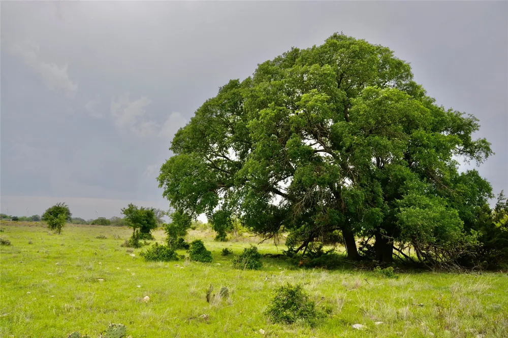 621 E FM 572 Goldthwaite, TX 76844