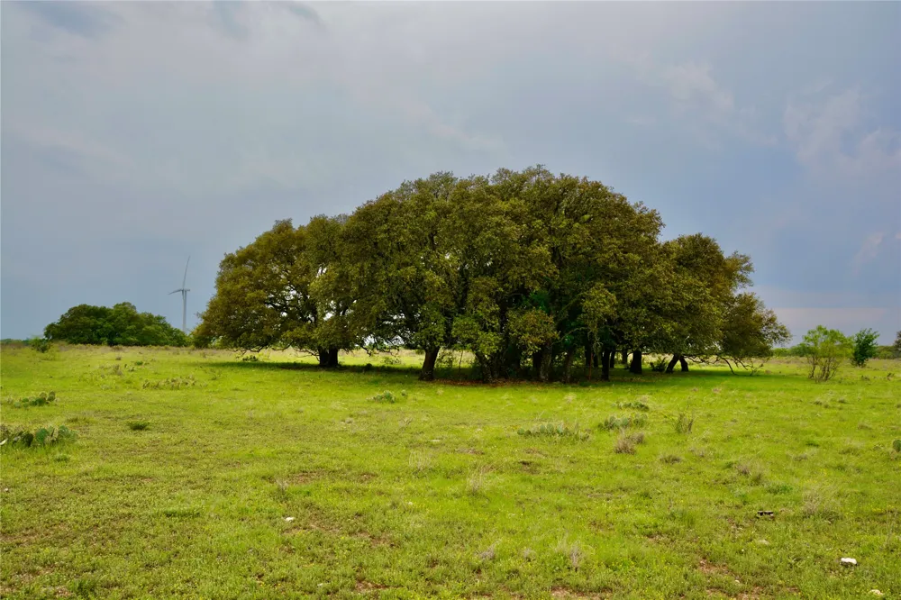 621 E FM 572 Goldthwaite, TX 76844