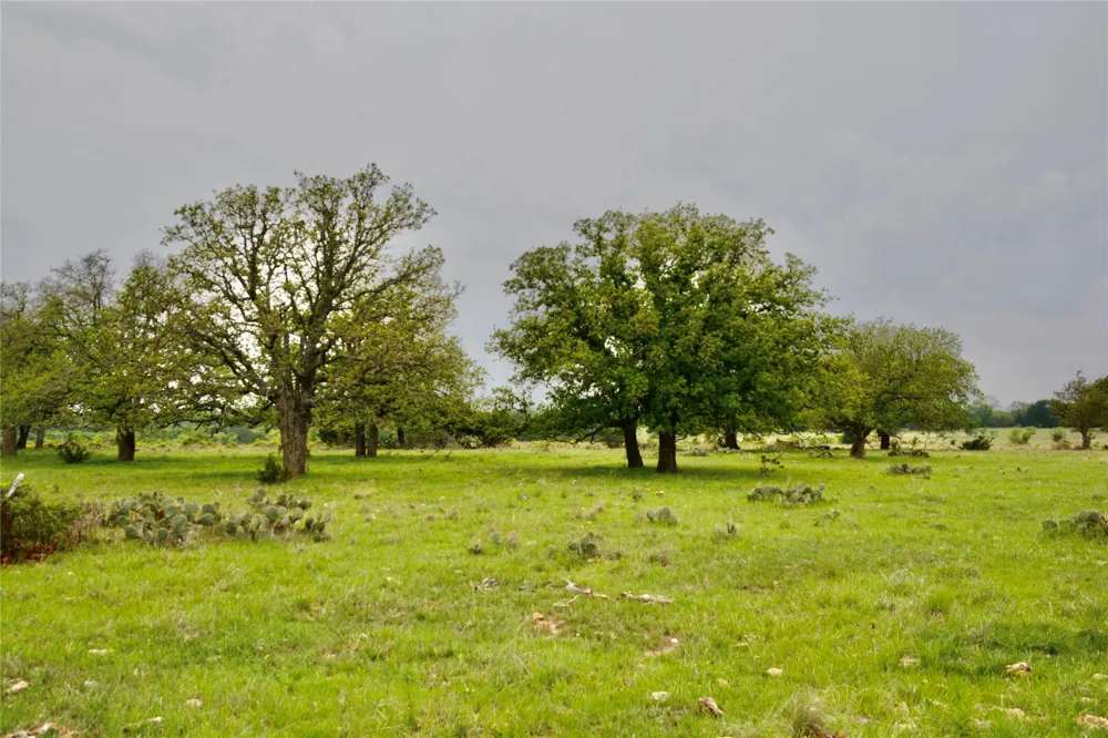 621 E FM 572 Goldthwaite, TX 76844