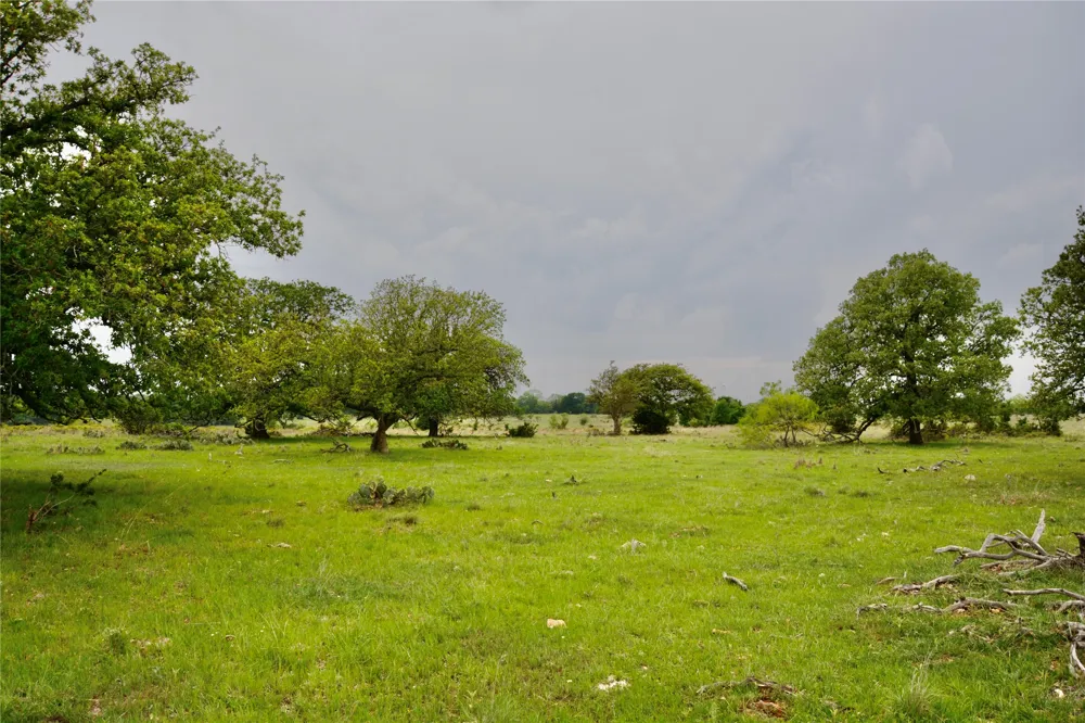 621 E FM 572 Goldthwaite, TX 76844