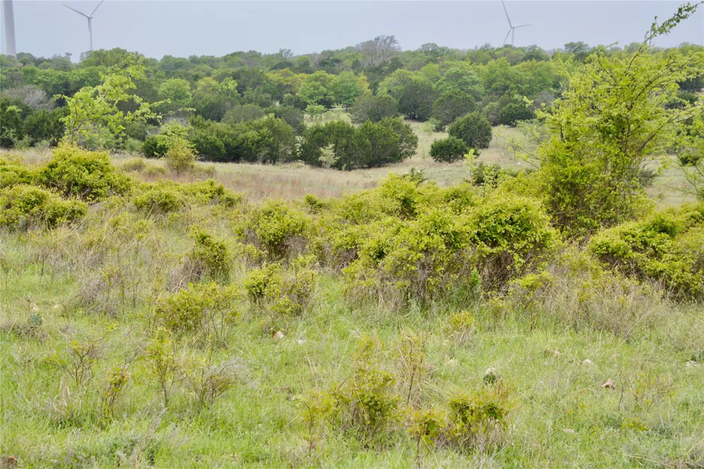 621 E FM 572 Goldthwaite, TX 76844