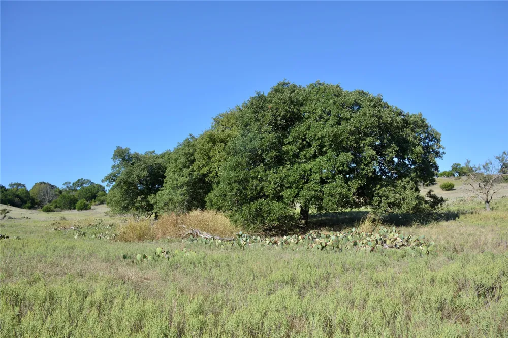 621 E FM 572 Goldthwaite, TX 76844