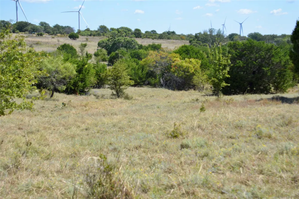 621 E FM 572 Goldthwaite, TX 76844