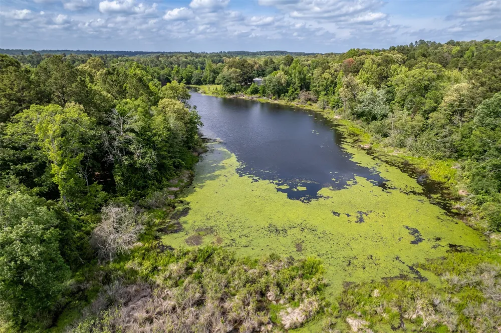 16437 COUNTY ROAD 3147 Tyler, TX 75706
