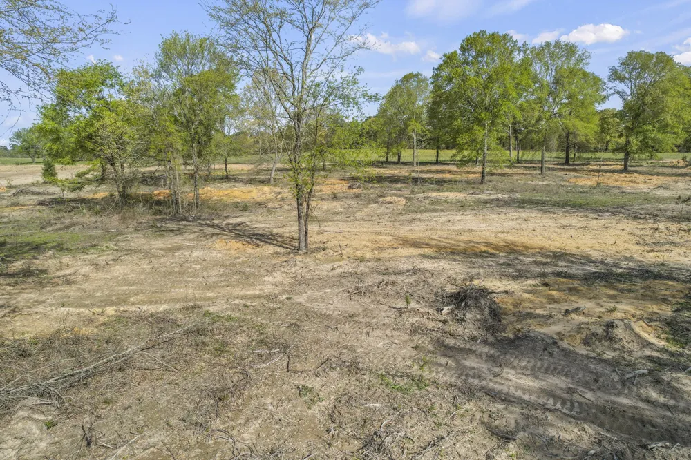 County Road 4663 Mt Pleasant, TX 75455