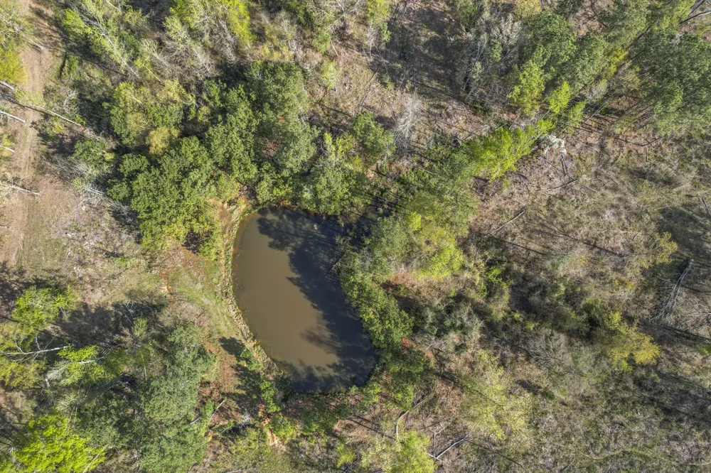 County Road 4663 Mt Pleasant, TX 75455